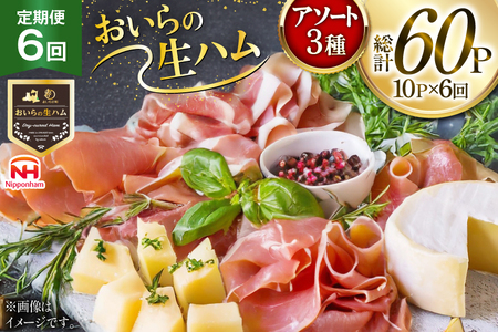 生ハム 6回 定期便 おいらの生ハム アソート セット 計60p