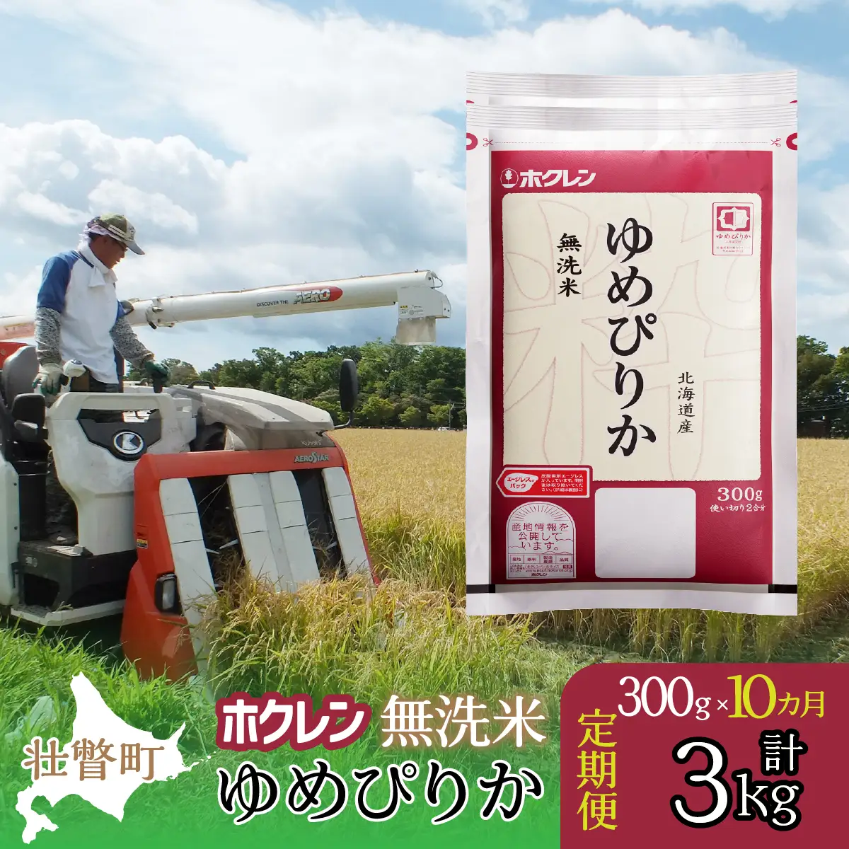 【令和7年産米】【10ヶ月定期配送】（無洗米300g）ホクレンゆめぴりか SBTD151