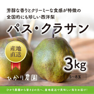 完熟こだわりパス・クラサン 3キロ（ひかり農園）