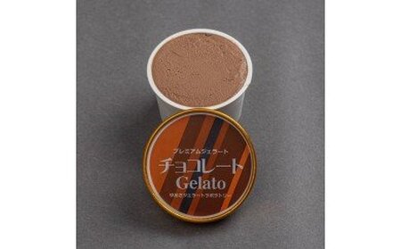 プレミアムジェラート チョコレート 100ml×12個_V7132