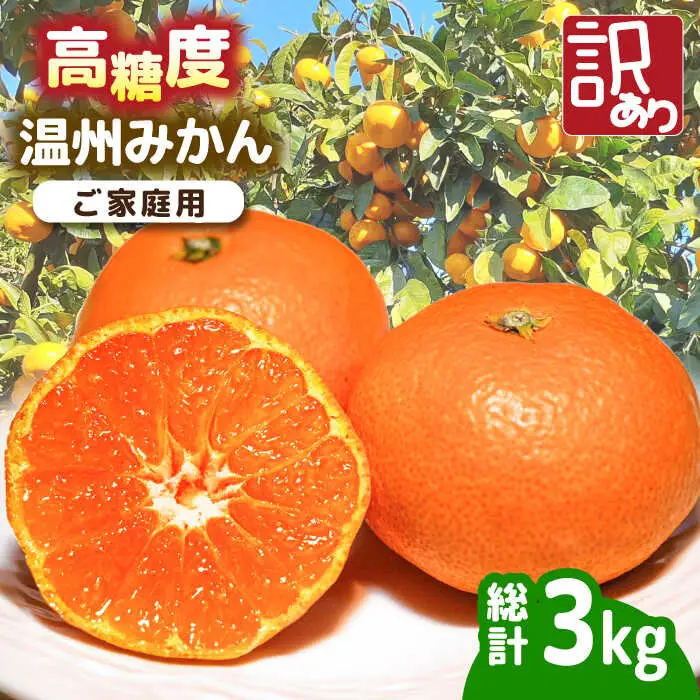 【2026年11月下旬-発送】【高糖度】訳あり 温州みかん 約3kg（傷もの）/ みかん ミカン 蜜柑 果物 フルーツ / 南島原市 / 南島原果物屋[SCV022]