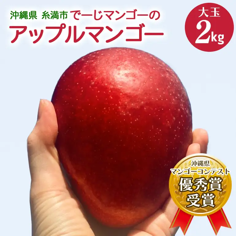 【2026年発送】【令和5年度優秀賞受賞】でーじマンゴーアップルマンゴー2kg(大玉)  26-6