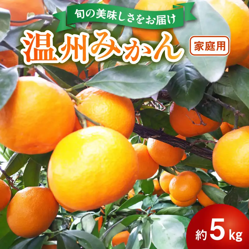 進栄【家庭用】温州みかん約5kg_U68-0132