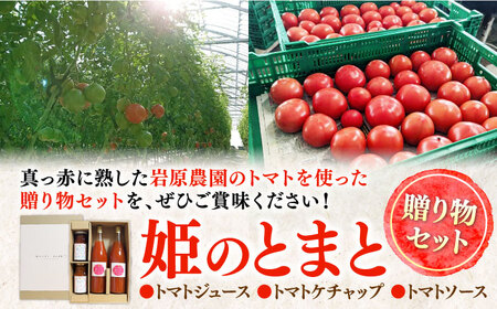 姫のとまと贈り物セット (トマトジュース・トマトケチャップ・トマトソース) 多治見市 / 岩原農園[TFP002]