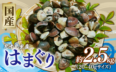 冷凍ハマグリ約2.5kg(20-40gサイズ) はまぐり 蛤