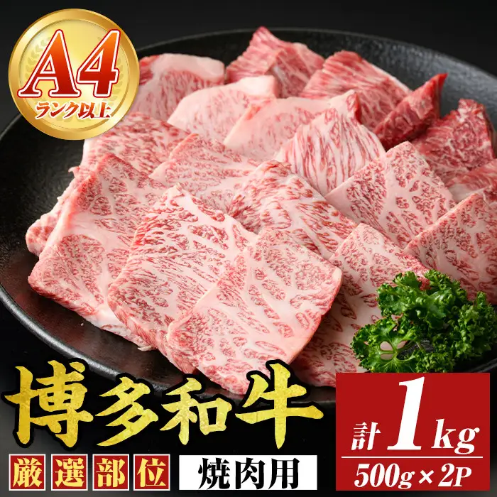 【A4～A5】博多和牛焼肉用(計1kg・500g×2P) 国産 九州産 福岡県産 牛肉 和牛 黒毛和牛 やきにく お肉【MEAT PLUS】as08-057