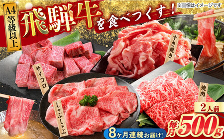 【8回定期便】  飛騨牛 プレミアム 定期便 2人前 ( しゃぶしゃぶ × すき焼き × サイコロステーキ × 焼肉 ) 各500g[TAZ047]牛肉