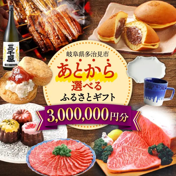 【あとから選べる】 岐阜県多治見市ふるさとギフト 300万円分  飛騨牛 日本酒 スイーツ 美濃焼 あとから ギフト[TDA041]