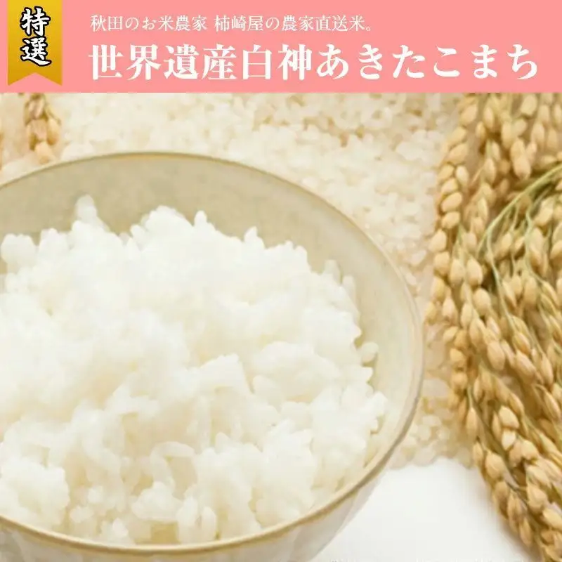 あきたこまち 玄米 産地直送 秋田県産 あきたこまち【10kg】