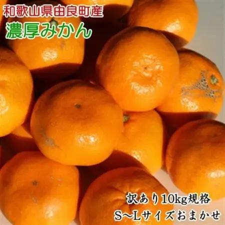 【訳あり・ご家庭用】和歌山由良町産のみかん約10kg(日高町)【1228288】