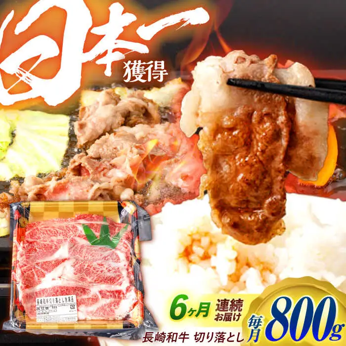 【6回定期便】 長崎和牛 切り落とし 800g（400g×2）肩ロース・モモ・カタ・バラ使用 / 牛肉 ぎゅうにく 肉 和牛 国産牛 切落し?/ 諫早市 / 西日本フード株式会社 [AHAV023]