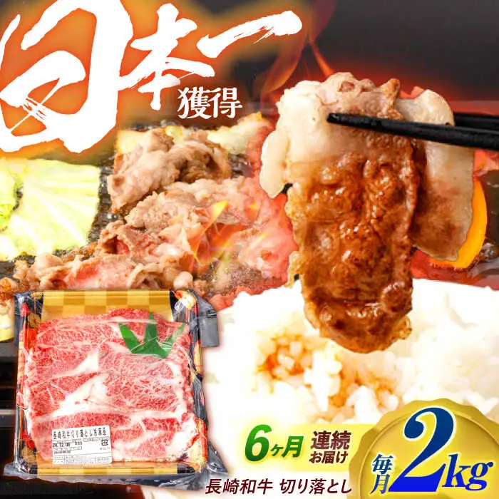【6回定期便】長崎和牛 切り落とし 2kg（400g×5）肩ロース・モモ・カタ・バラ使用 / 牛肉 ぎゅうにく 肉 和牛 国産牛 切落し?/ 諫早市 / 西日本フード株式会社 [AHAV029]