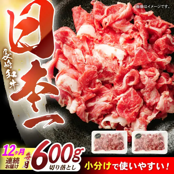 【12回定期便】長崎和牛 切落し 300g×2パック / 長崎和牛 切落し 和牛 国産牛 牛肉 / 諫早市 / 有限会社長崎フードサービス [AHDD008]
