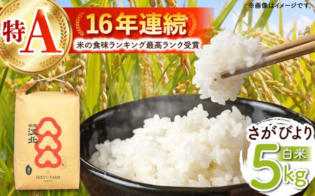 令和7年産 さがびより 白米 5kg（一等米） [HDC001]白米 精米 白米 白米 米 白米 佐賀 白米