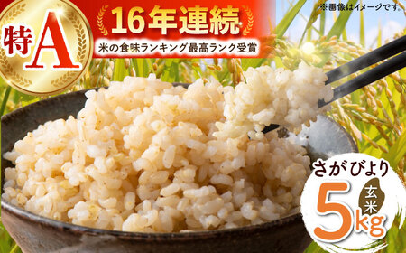 令和7年産 さがびより 玄米 5kg（一等米） [HDC002] 玄米 米 玄米 米 玄米 玄米 玄米 玄米