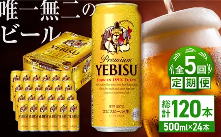 【全5回定期便】サッポロ ヱビスビール 500ml×24缶  合計120缶   /ビール お酒  エビス 大分 日田 サッポロビール / [ARDC059]