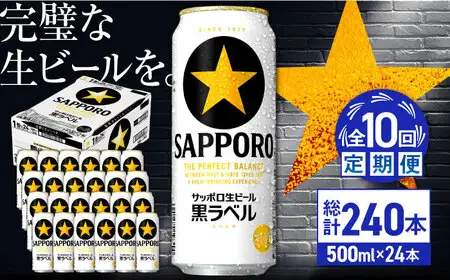 【全10回定期便】サッポロ生ビール 黒ラベル 500ml×24缶  合計240缶 /ビール お酒  黒ラベル 大分 日田 サッポロビール /[ARDC084]