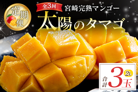 【定期便 太陽のタマゴ】2027年出荷 2L×1玉 全3回 マンゴー 果物 フルーツ E222-27