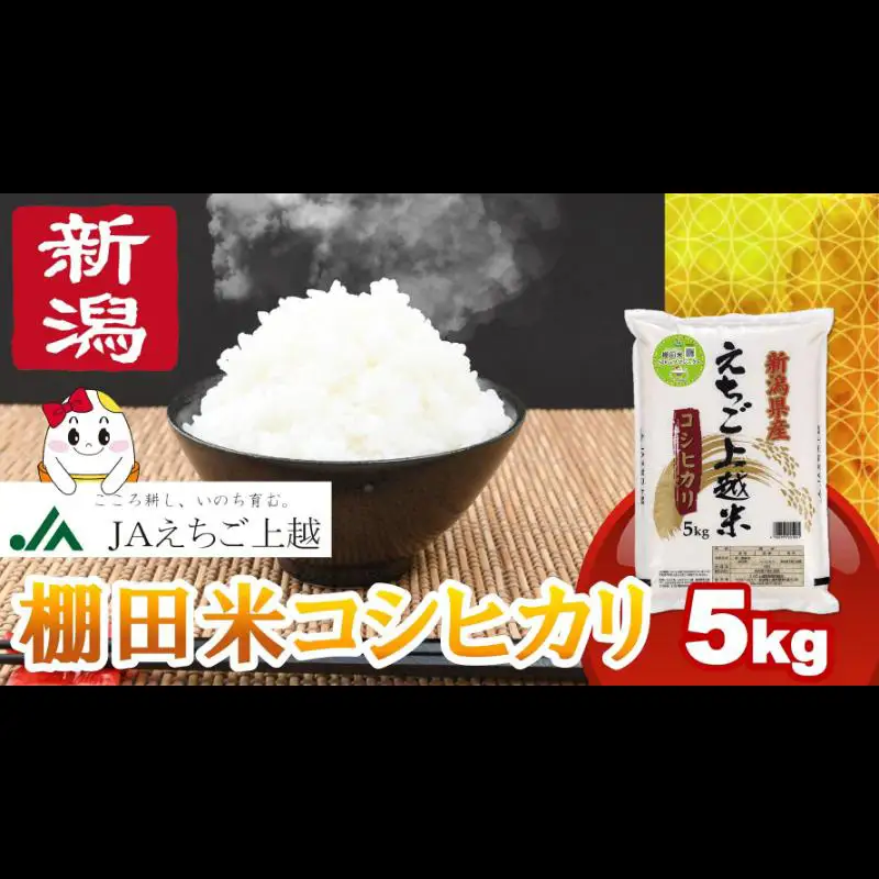 えちご上越米 棚田米 コシヒカリ 5kg 精米 コシヒカリ