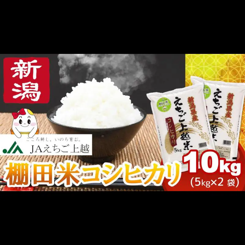 えちご上越米 棚田米 コシヒカリ 10kg 精米 コシヒカリ