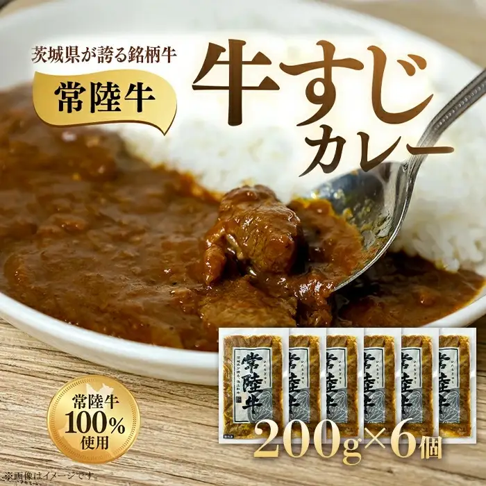 牛すじカレー 200g×6個 茨城県 ブランド牛 常陸牛 使用 521