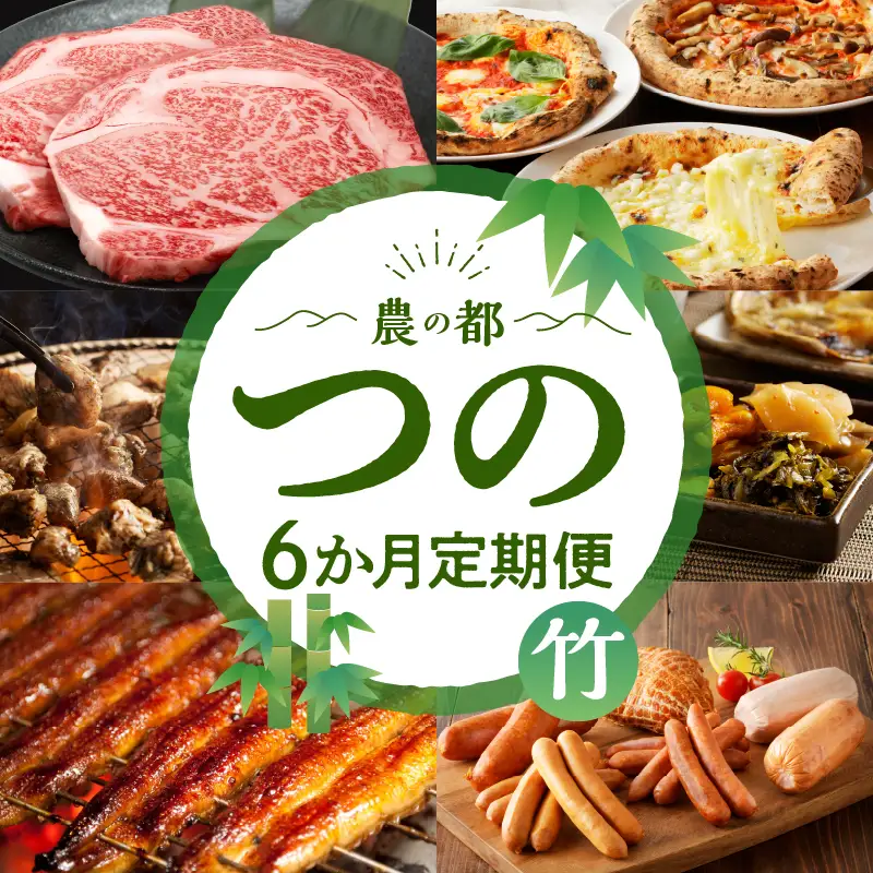≪6か月お楽しみ定期便≫都農町定期便(竹) 肉 加工品 鰻 国産_T999-0066