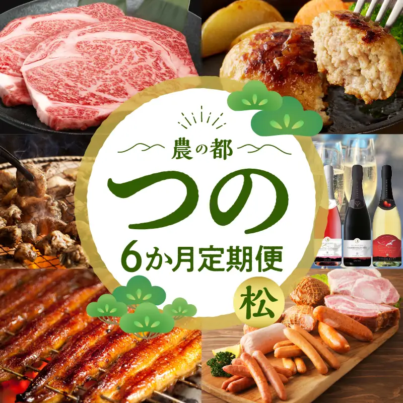 ≪6か月お楽しみ定期便≫都農町定期便(松) 肉 加工品 鰻 国産_T999-0076