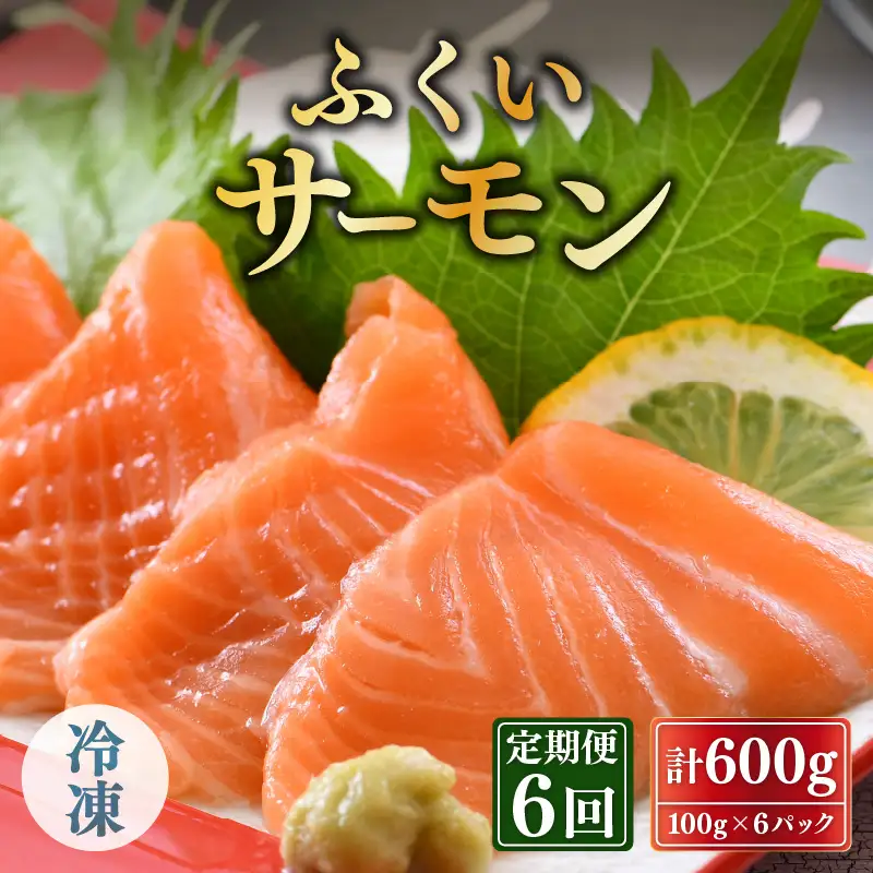 【6ヶ月連続お届け】ふくいサーモン 600g (刺身用) 真空冷凍 100g×6パック×6回【サーモン 鮭 刺身 サケ 小分け 生食 国産】 [K-6201]