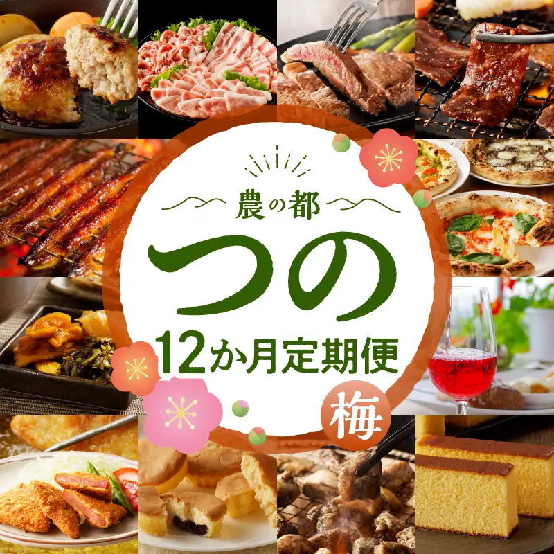 ≪12か月お楽しみ定期便≫都農町定期便(梅) 肉 加工品 デザート 国産_T999-0086