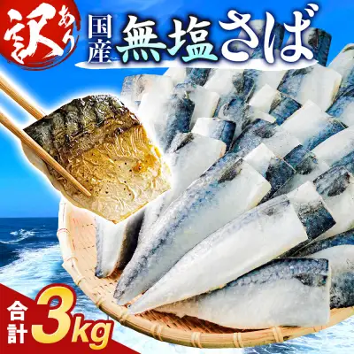 訳あり 無塩 サバ フィレ 3.0kg (30枚前後)  さば 鯖 切り身 宮城県 石巻市
