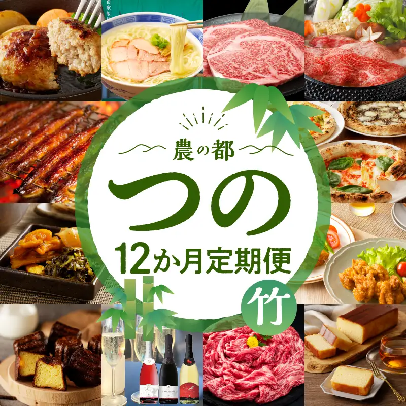 ≪12か月お楽しみ定期便≫都農町定期便(竹) 肉 加工品 デザート 国産_T999-0096