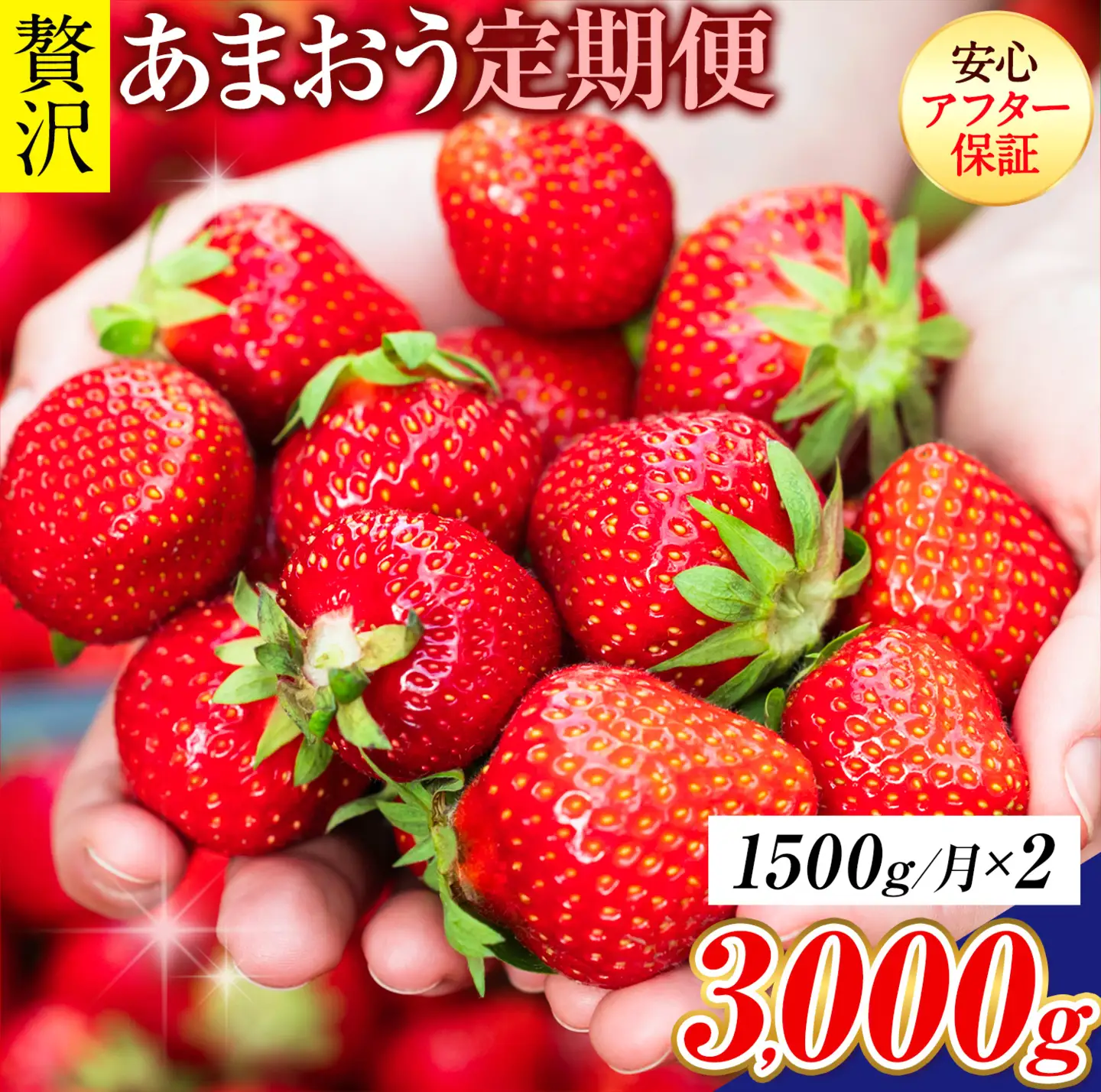 【2ヶ月定期便】あまおう 1500g いちご