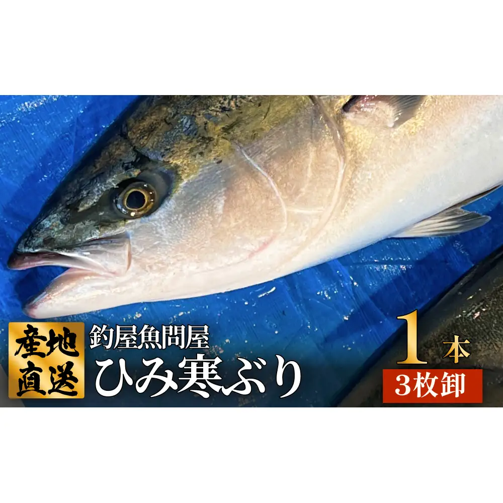 【先行予約】【期間限定】ひみ寒ぶり1本（3枚おろし) 富山県 氷見 氷見漁港 能登 寒ブリ １本 天然鰤 処理 ３枚卸 釣屋魚問屋 天然 鮮魚 ブリ 産地直送