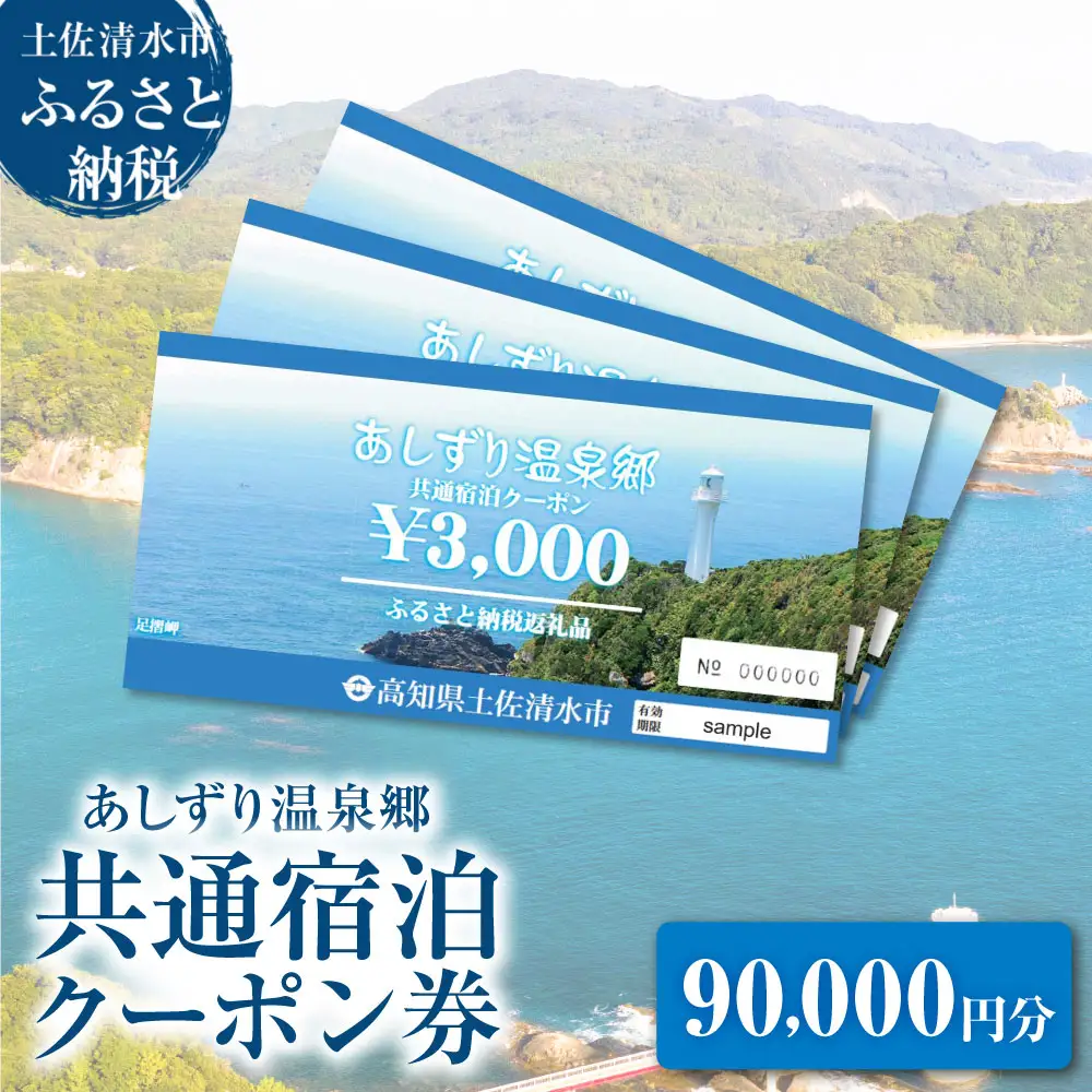 共通宿泊クーポン券 あしずり温泉郷 90,000円分【共通宿泊クーポン券】【R01319】