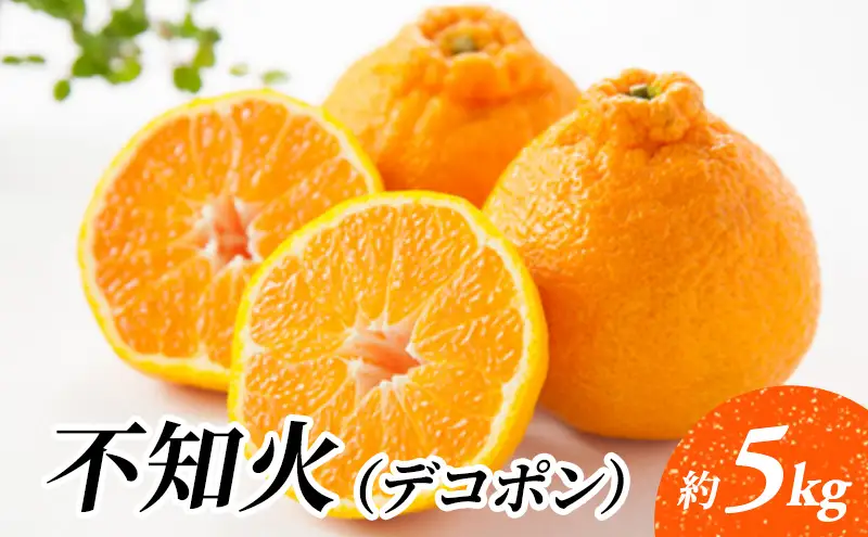 デコポン 不知火 柑橘 デコポン【約5kg】