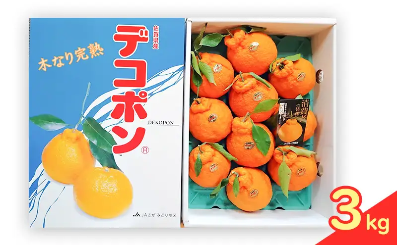 デコポン 木なり完熟 柑橘 デコポン【3kg】