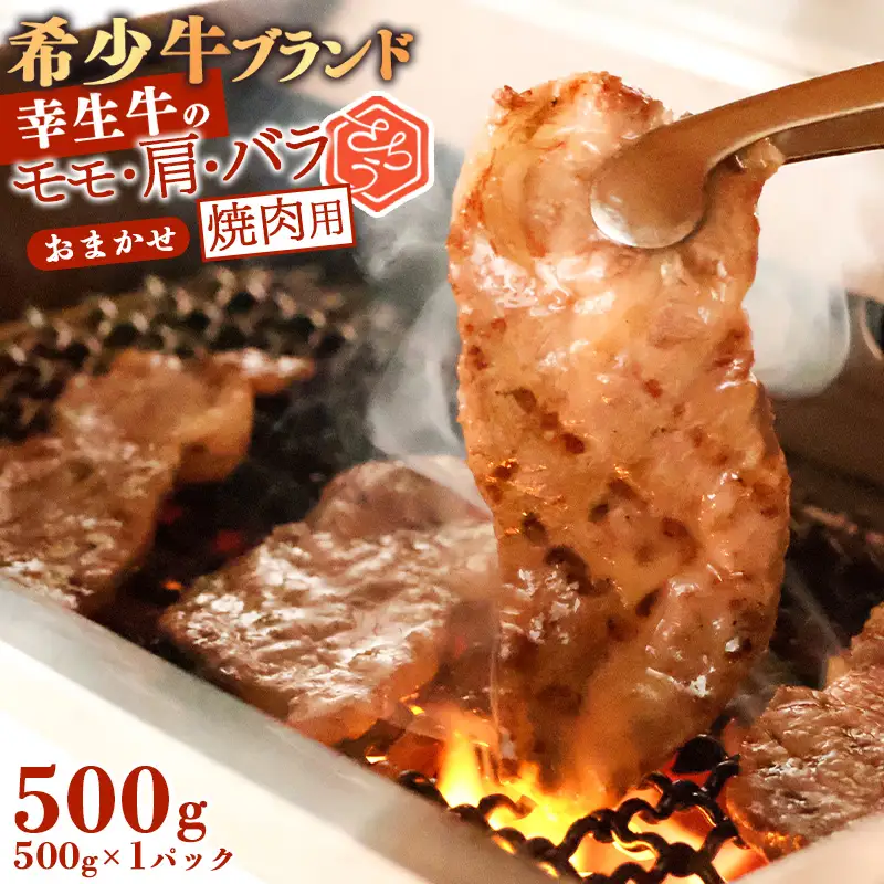 【30営業日以内配送】幸生牛 焼肉 500g【モモ 肩 バラ おまかせ】 肉 焼き肉 牛肉 希少 山形 《幸せを運ぶ牛》　018-D-YL053