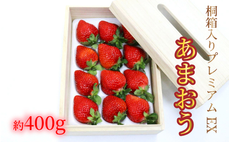 いちご あまおう EX 400g【2027年2~4月中旬発送】プレミアム あまおう 福岡県産 特選 苺  BGF