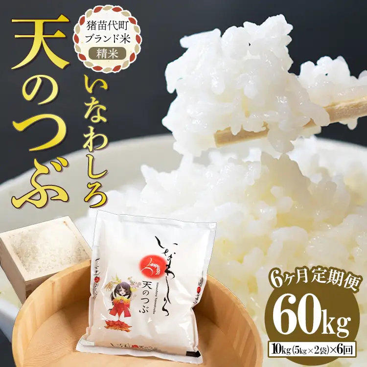 定期便 【6ヵ月連続】令和7年産 猪苗代町ブランド米 いなわしろ天のつぶ 10kg ｜ 米 お米 精米 白米 福島 大粒 寿司 和食
