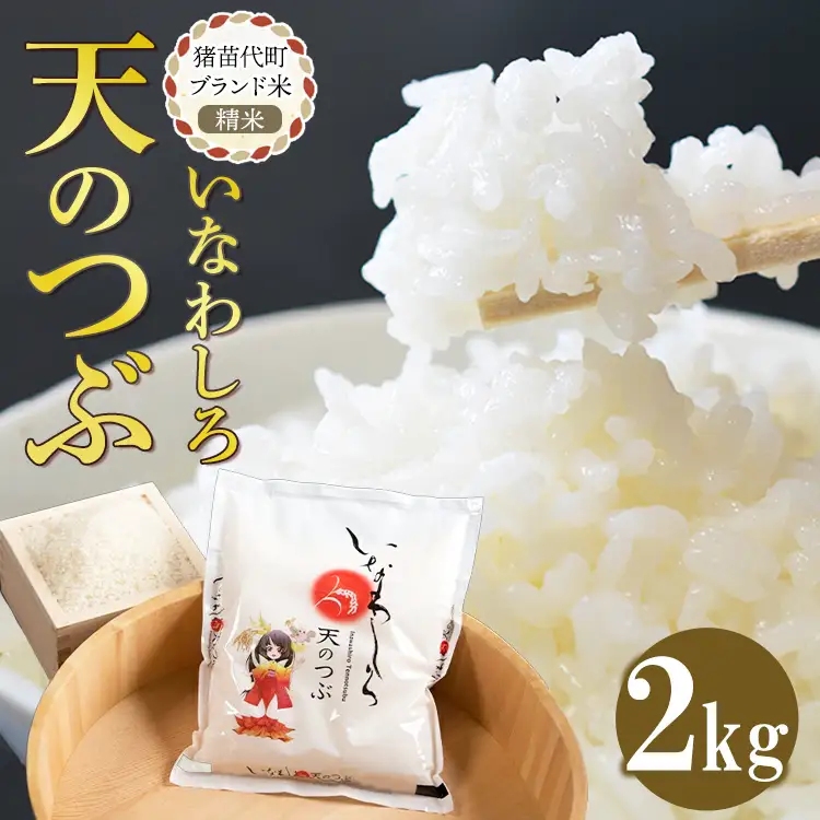 令和7年産 猪苗代町ブランド米 いなわしろ天のつぶ( 精米 ) 2kg ｜ お米 白米 福島 大粒 寿司 和食