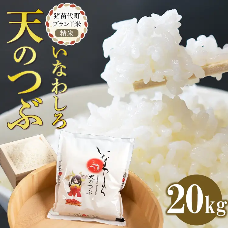 令和7年産 猪苗代町ブランド米 いなわしろ天のつぶ( 精米 ) 20kg ｜ お米 白米 福島 大粒 寿司 和食