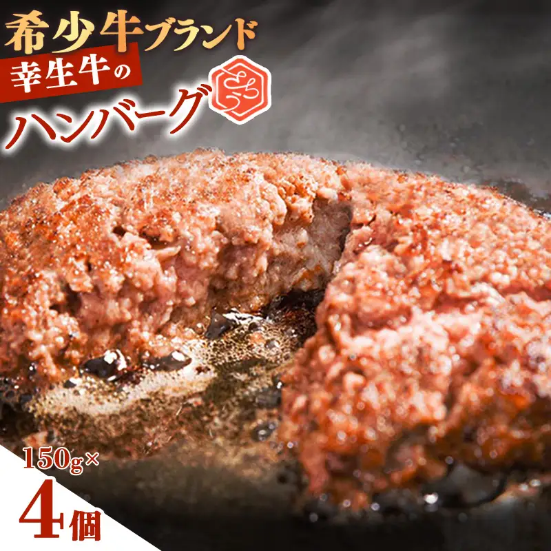 【30営業日以内配送】幸生牛 ハンバーグ 150g×4個 ハンバーグ 肉 牛肉 希少 山形 《幸せを運ぶ牛》 008-D-YL056