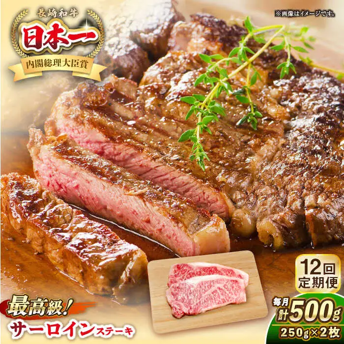 【全12回定期便】長崎和牛 サーロイン ステーキ 250g×2 《壱岐市》【KRAZY MEAT】 A5 A4 冷凍 和牛 肉 牛肉 BBQ [JER123]