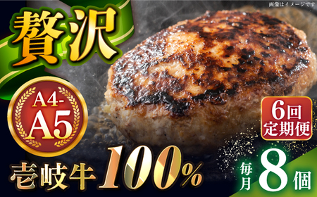 【全6回定期便】壱岐牛100％ プレミアムハンバーグ 150g×8 《壱岐市》【KRAZY MEAT】 A5 A4 冷凍 和牛 肉 牛肉 BBQ ハンバーグ 贈答品[JER162] 九州