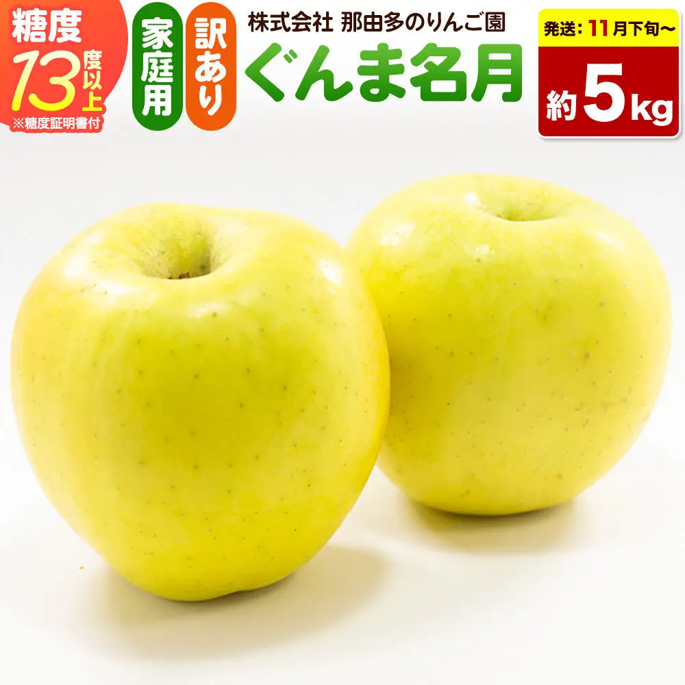 【26年11月下旬～発送】りんご ぐんま名月【訳あり】約5kg 糖度13度以上（糖度証明書付）【先行受付】家庭用 青森県 弘前市 果物 フルーツ 林檎 リンゴ くだもの 不揃い 規格外