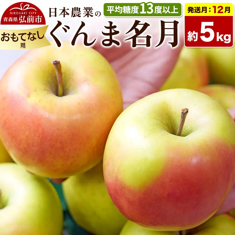 【26年12月発送】りんご ぐんま名月【おもてなし用】約5kg 平均糖度13度以上 青森県 弘前市 果物 フルーツ 林檎 リンゴ くだもの