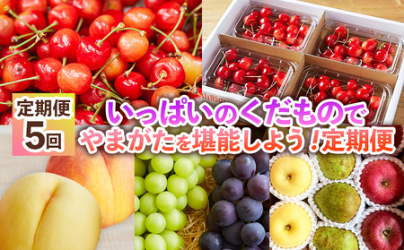 【定期便5回】いっぱいのくだもので山形を堪能しよう！定期便 FY24-513