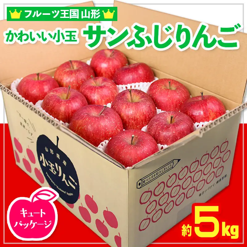 ☆フルーツ王国山形☆かわいい 小玉サンふじりんご 5kg 24玉 キュートパッケージ FZ26-807
