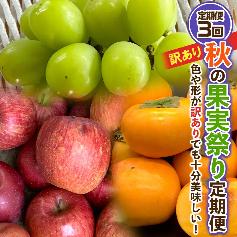 【定期便3回】★訳あり★秋の果実祭り定期便 色や形が訳ありでも十分美味しい！シャインマスカット・柿・りんご【令和8年産先行予約】FS24-814 くだもの 果物 フルーツ 山形 山形県 山形市 2026年産
