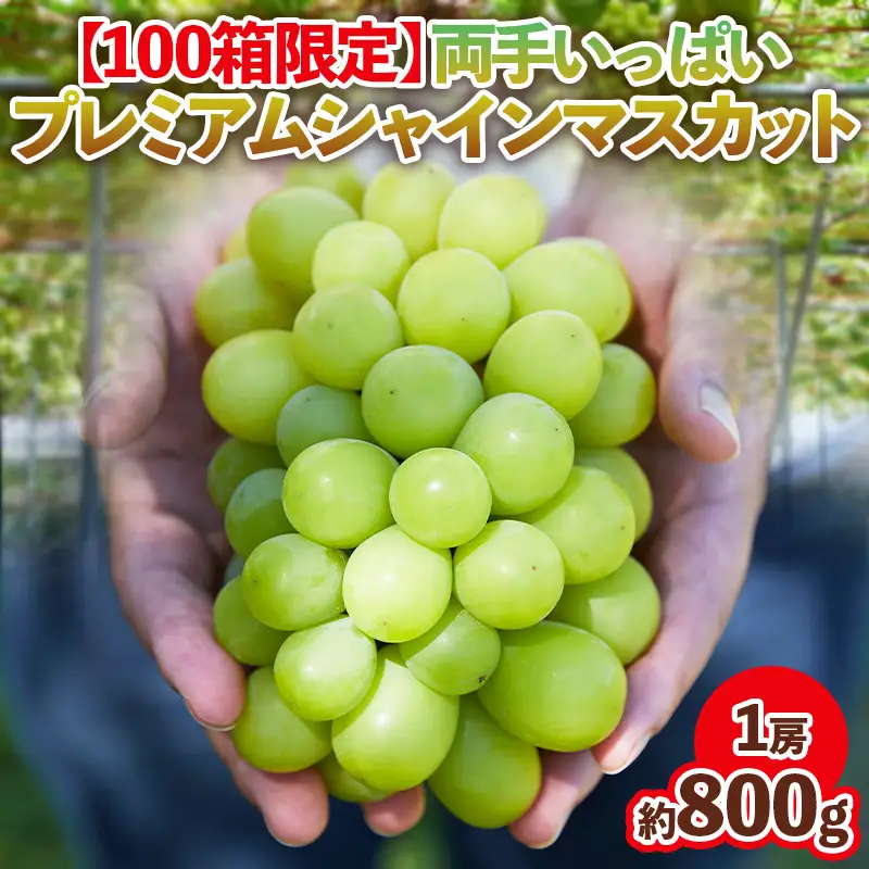 【100箱限定】両手いっぱい 1房 800g プレミアム シャインマスカット 【令和8年産先行予約】FS24-816 くだもの 果物 フルーツ 山形 山形県 山形市 2026年産